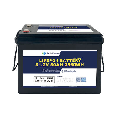 Купить Battery Weight 20KG 51.2v Lithium Battery 50Ah Marine For Lightweight Power online manufacture