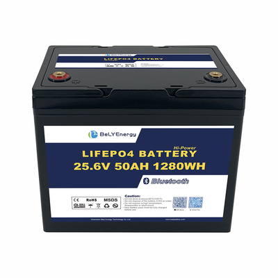 Батарея для морских судов с антиультрафиолетовым излучением ABS 24V 50AH LiFePO4 Lithium Battery с BT